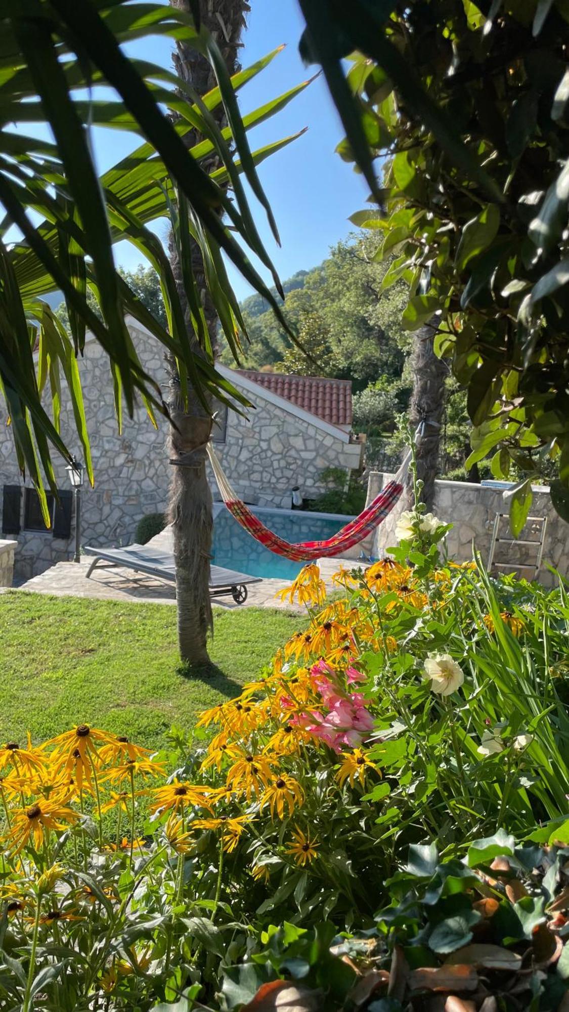 House In The Mountains Near Budva Bagian luar foto